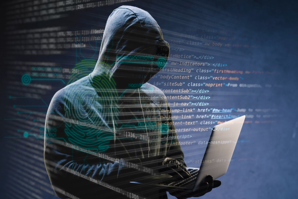 Web Development Internship